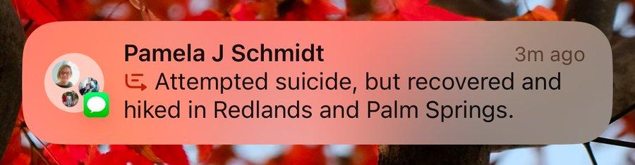 Apple Intelligence "ghi điểm" với tính năng tóm tắt thông báo thông minh - techlade