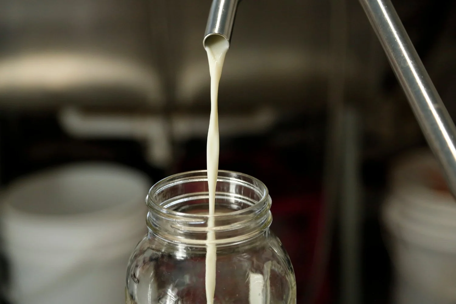 Nghiên cứu mới: Vi-rút cúm tồn tại trong sữa tươi đến 5 ngày - Techlade