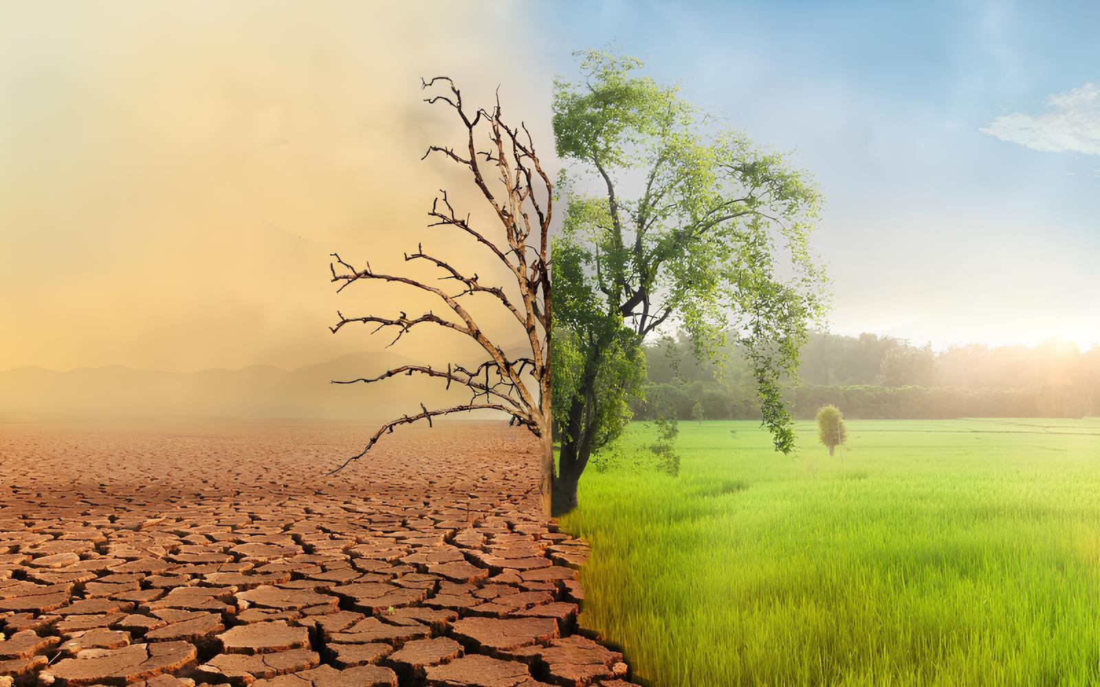 AI dự báo biến đổi khí hậu sẽ xảy ra nhanh hơn dự đoán - Techlade