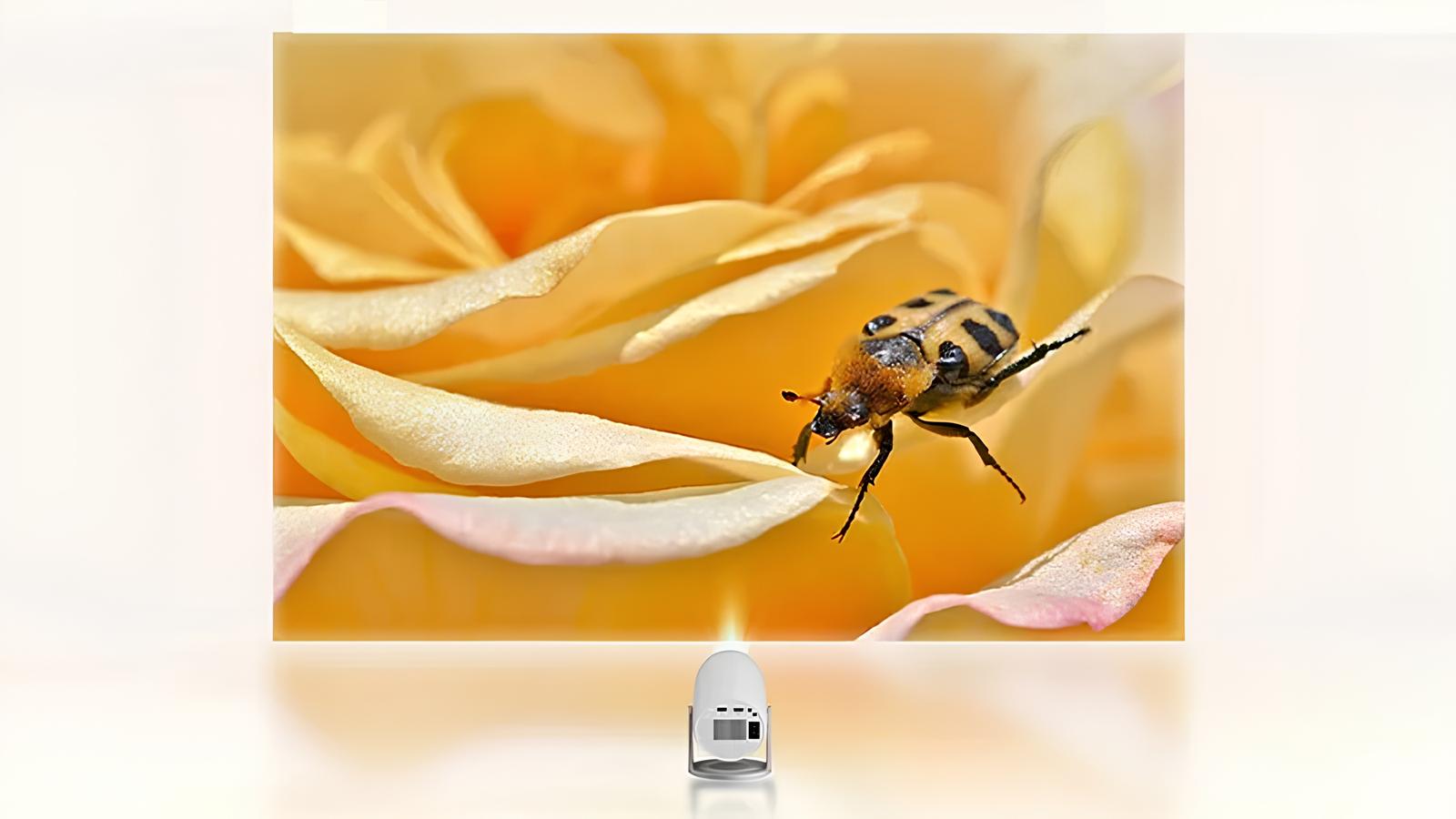  Lenovo Xiaoxin 100M: Rạp chiếu phim mini với độ phân giải 1080P - techlade