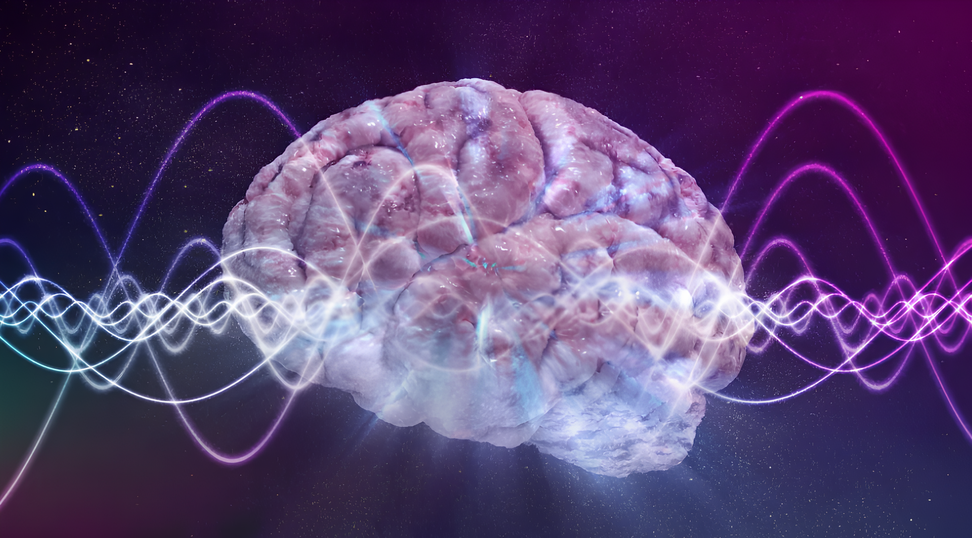 Não bộ "chiến thắng" nỗi sợ hãi: Phát hiện mới mở ra hy vọng cho người mắc chứng lo âu và PTSD - Techlade