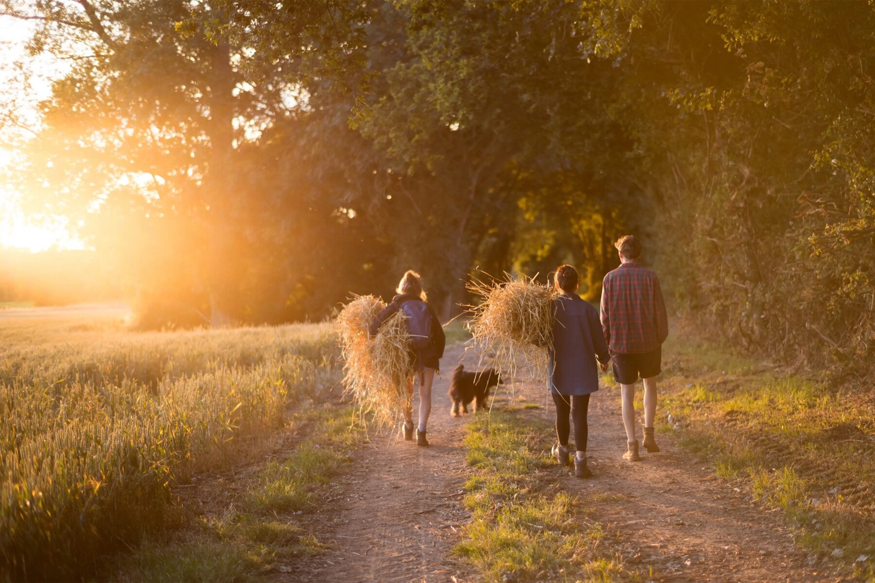 Leica "hồi sinh" ống kính Summilux 50mm f/1.4 cổ điển - Techlade