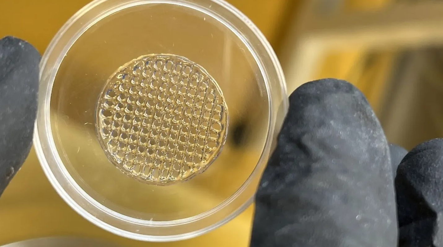 Da nhân tạo 3D: Giải pháp thay thế thử nghiệm trên động vật - Techlade