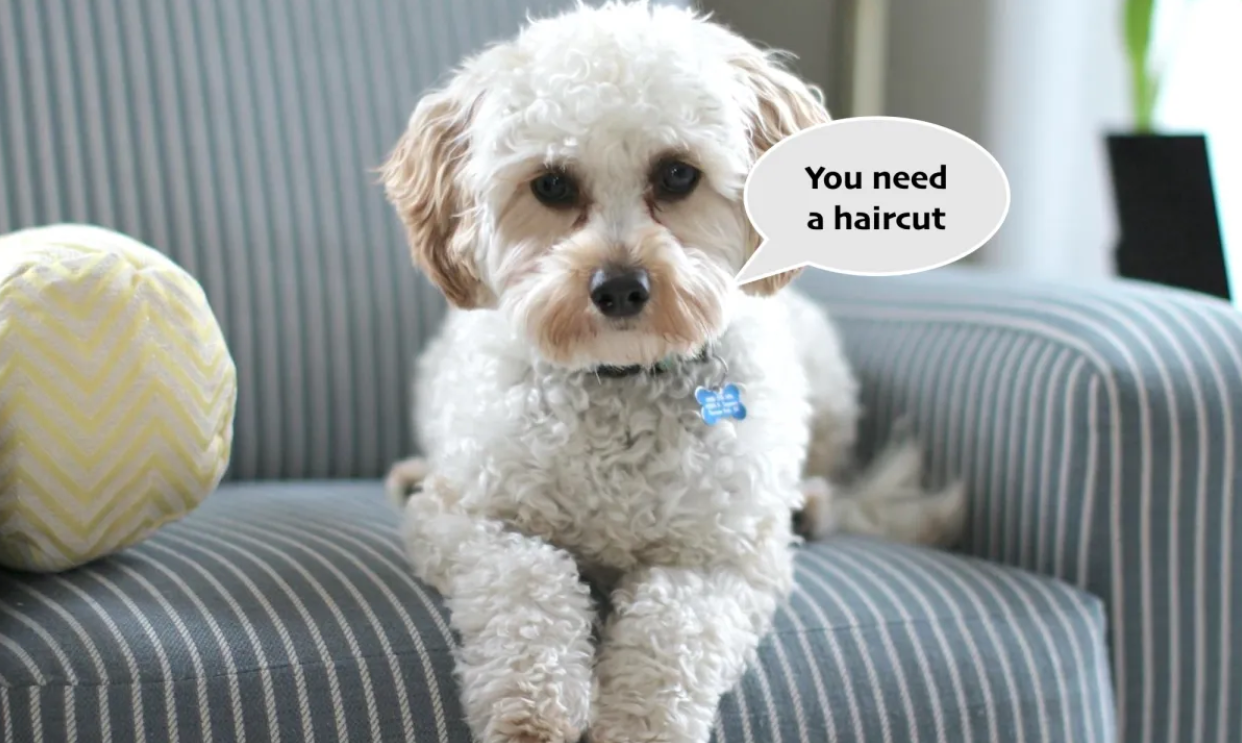 Baidu phát triển công nghệ AI để “dịch” tiếng động vật: Giao tiếp xuyên loài đang dần trở thành hiện thực? - Techlade