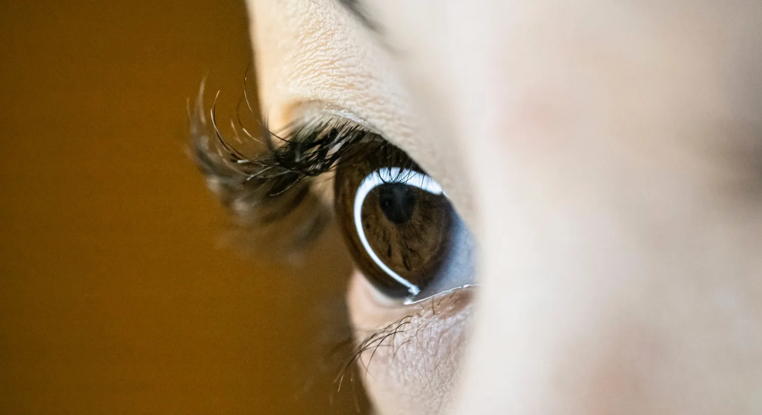 "Cửa sổ tâm hồn" hé lộ bí mật ký ức: Đồng tử mắt có thể "bật mí" bạn nhớ rõ đến đâu? - Techlade