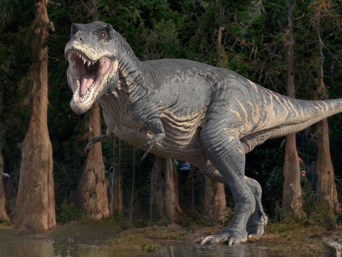 Điều gì sẽ xảy ra nếu thiên thạch không hủy diệt khủng long? - Techlade