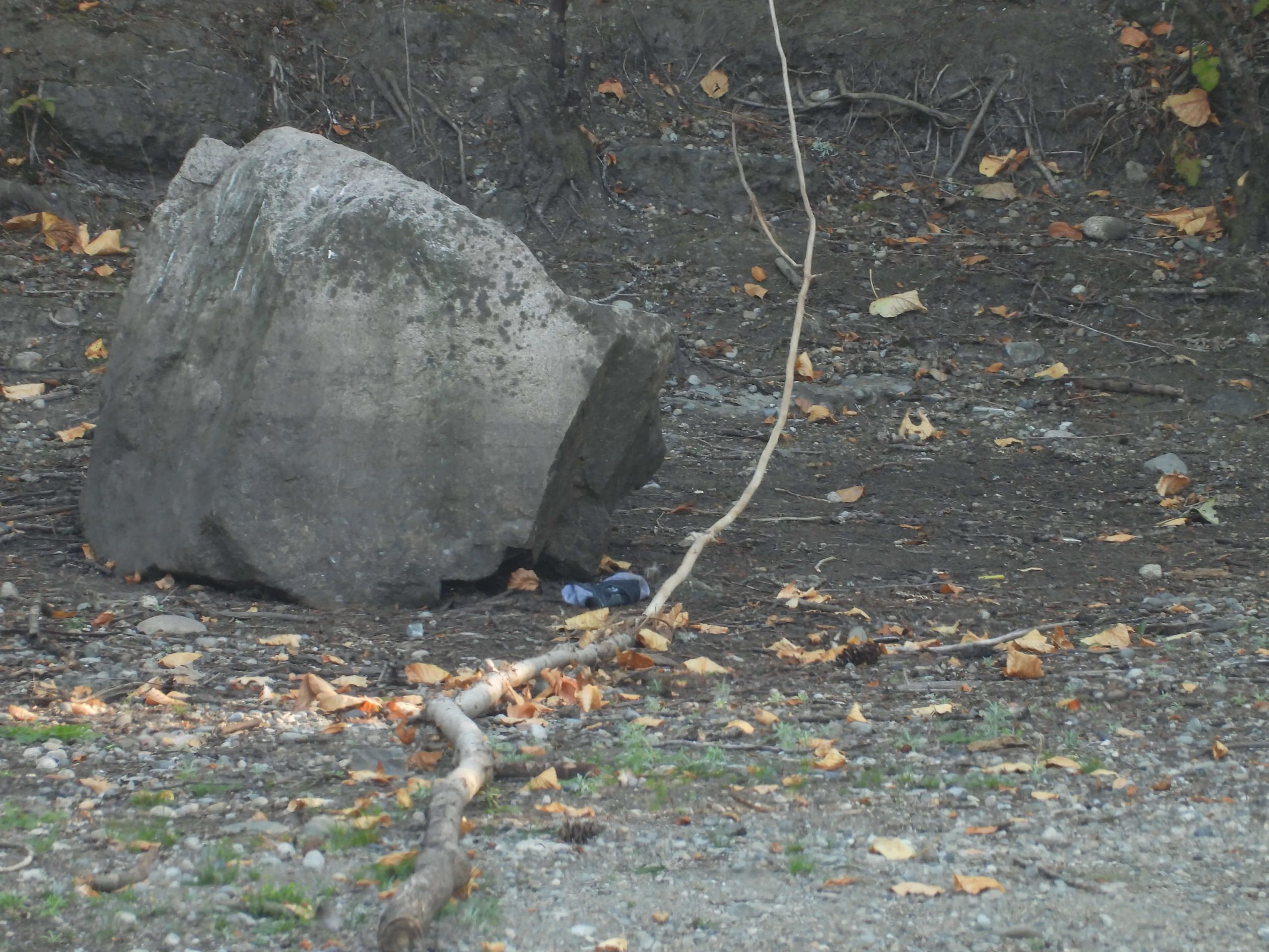 Chụp bằng máy ảnh Nikon Coolpix P1100 với mức zoom quang tương đương 2400mm