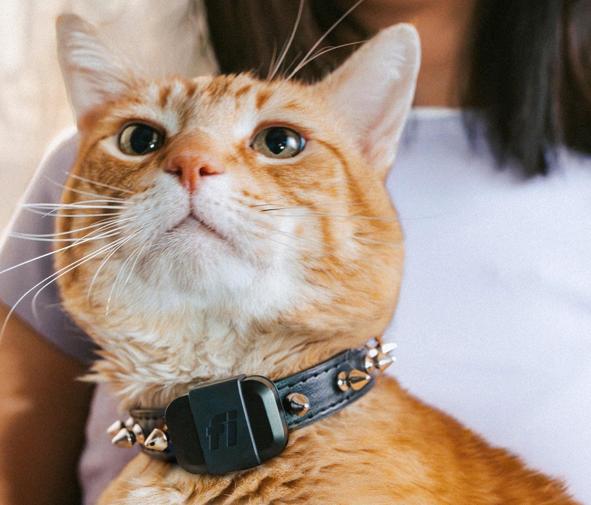 Fi Mini ra mắt: Thiết bị theo dõi thú cưng AI siêu nhỏ, chống nước IP68, pin 3 tuần - Techlade