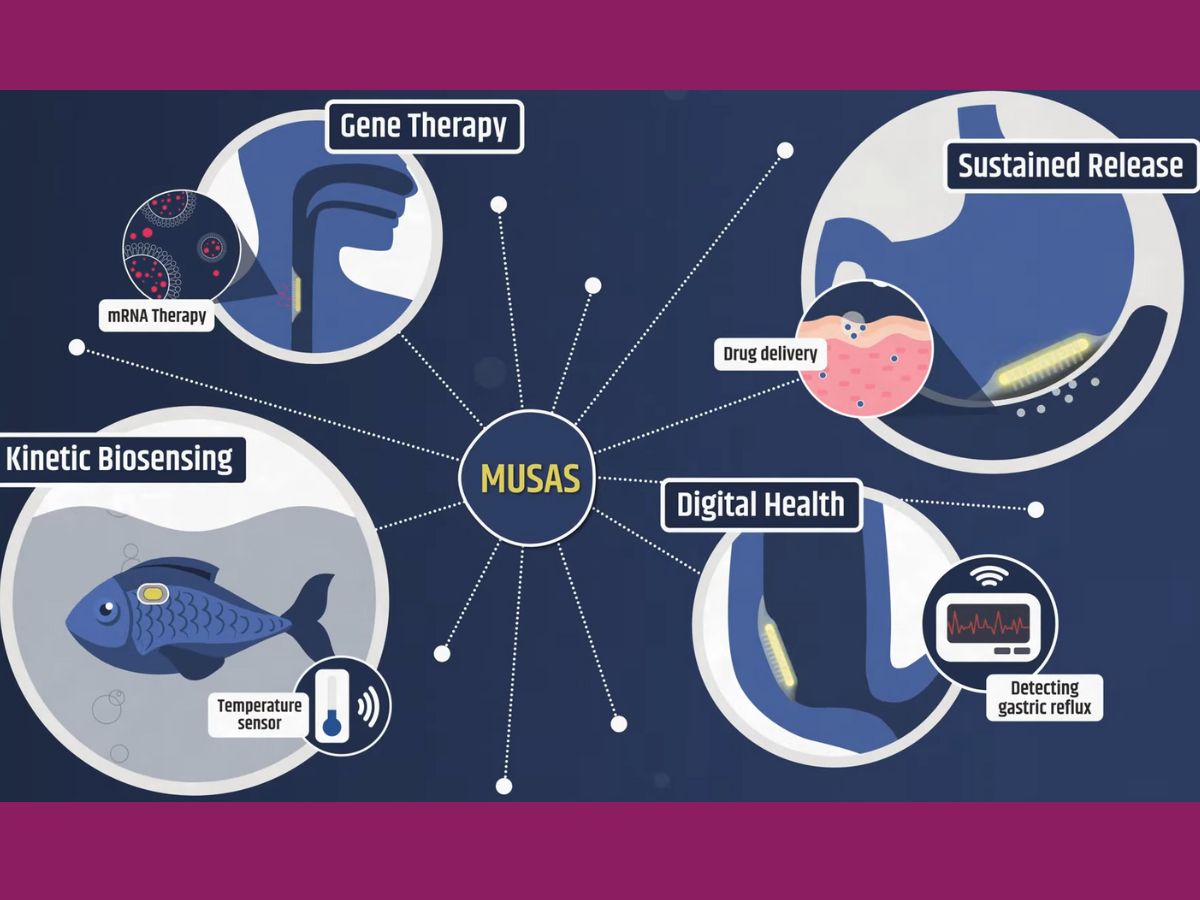 Đột phá từ MIT: Thiết bị dính sinh học "lấy cảm hứng từ cá remora" có thể đưa thuốc vào dạ dày - Techlade