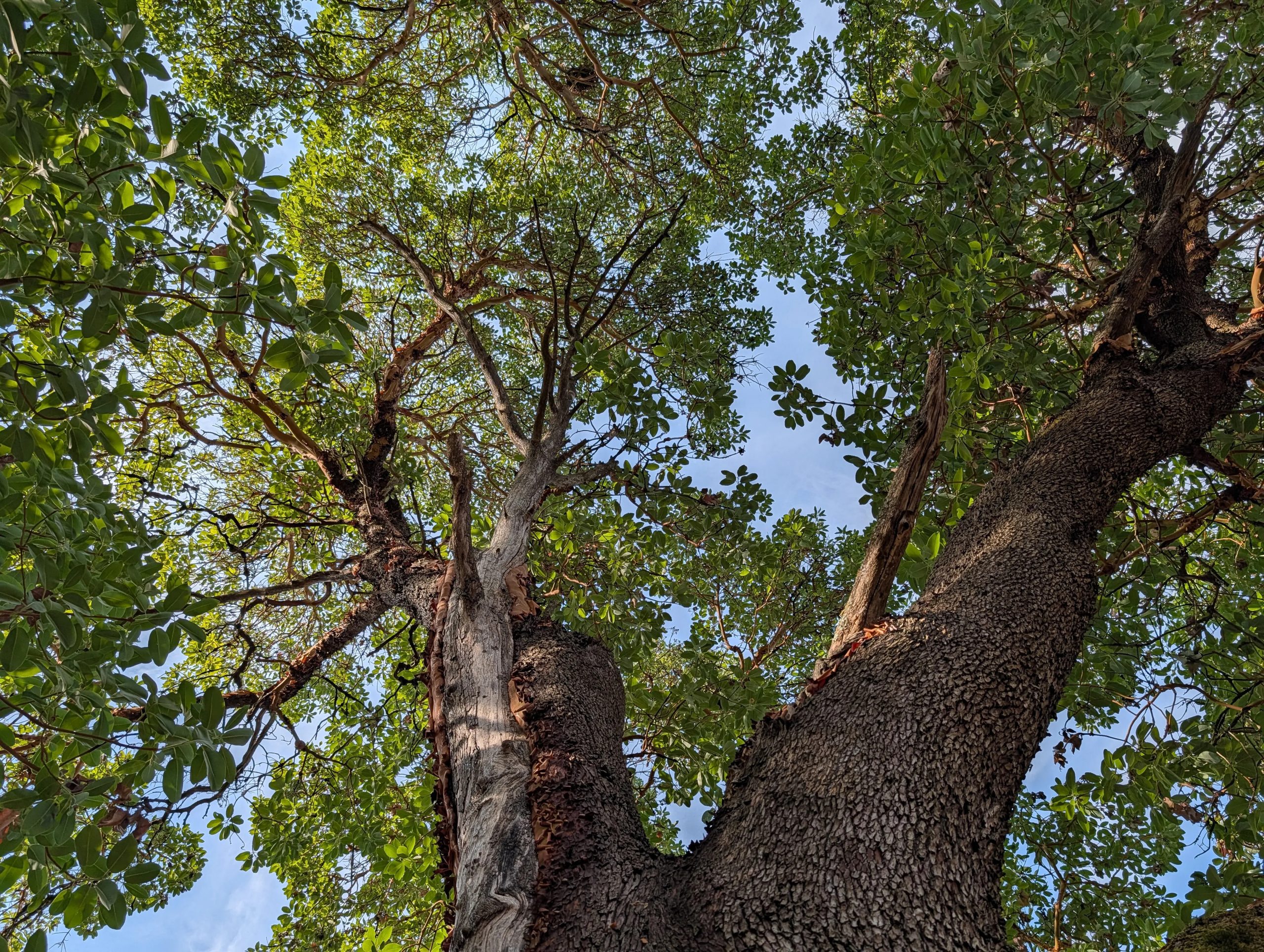 Trải nghiệm Google Pixel 10 Pro: "Làn gió mới" mang tên AI, sạc Qi2 và cấu hình nâng cấp - Techlade