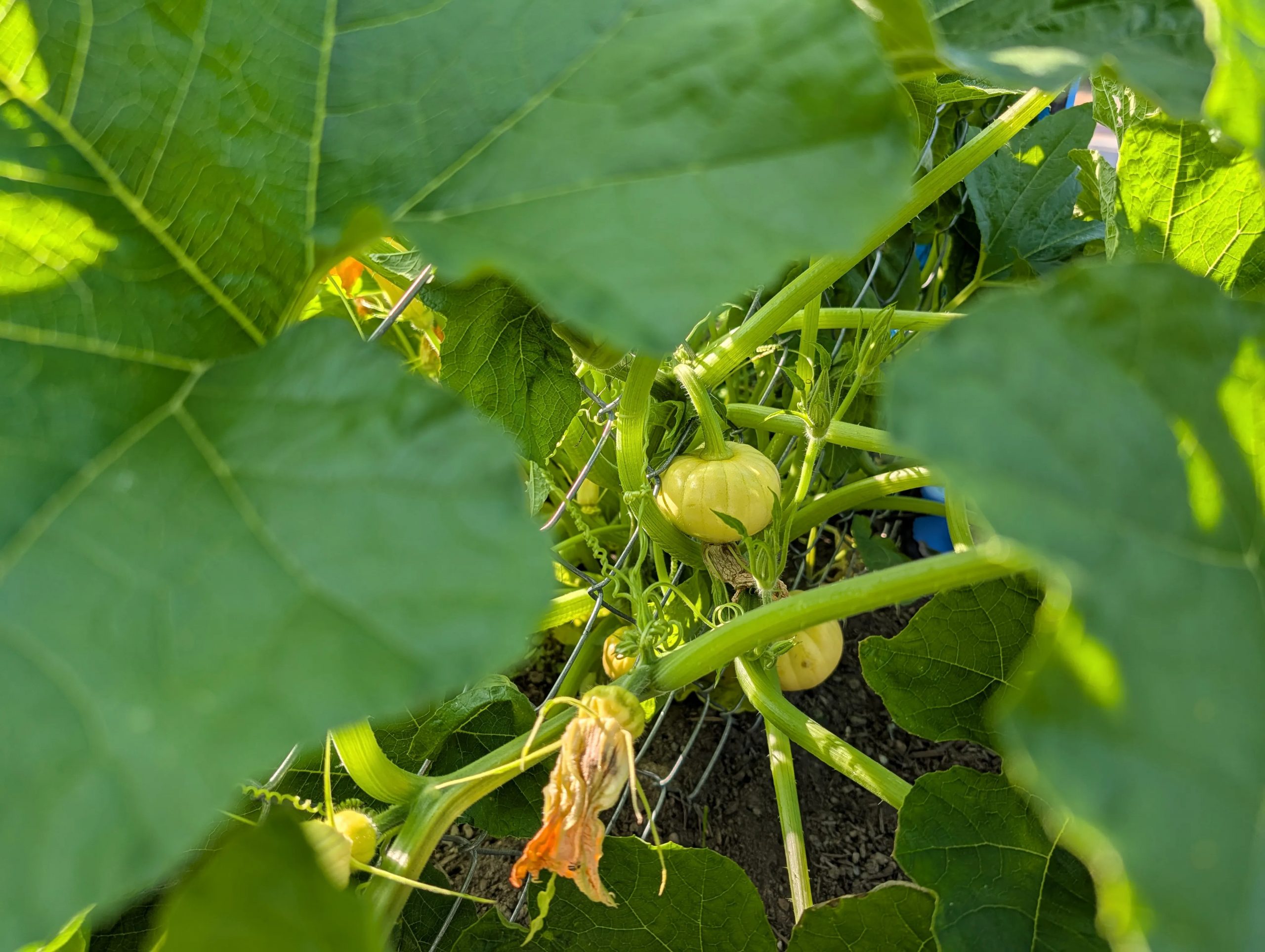 Trải nghiệm Google Pixel 10 Pro: "Làn gió mới" mang tên AI, sạc Qi2 và cấu hình nâng cấp