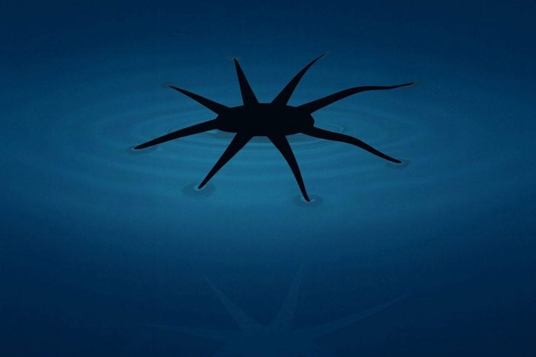 Robot siêu nhỏ "đi bộ trên nước" lấy cảm hứng từ côn trùng nước - Techlade