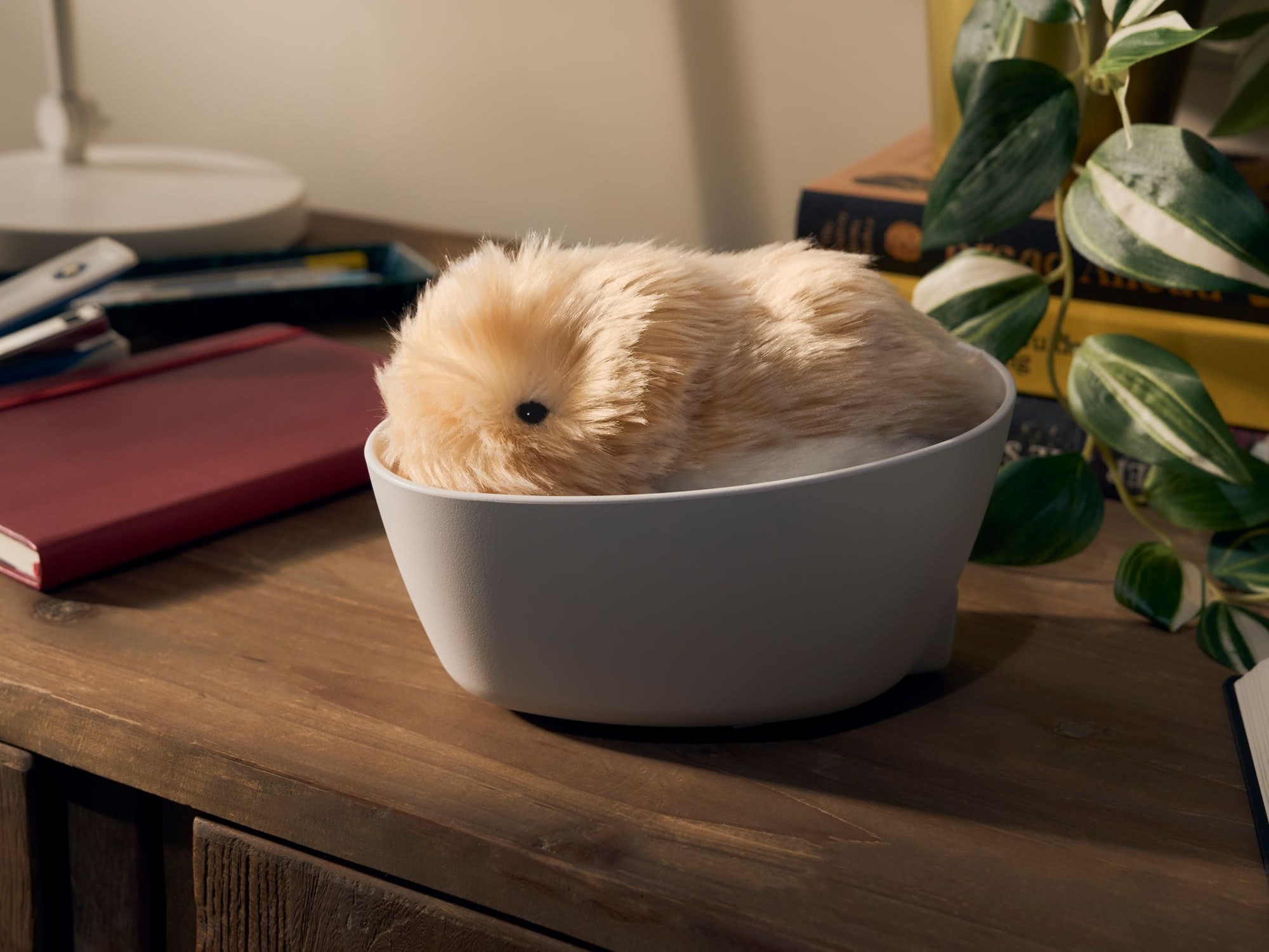 Casio Moflin ra mắt toàn cầu: Robot thú cưng AI biết học hỏi, phản ứng cảm xúc - Techlade