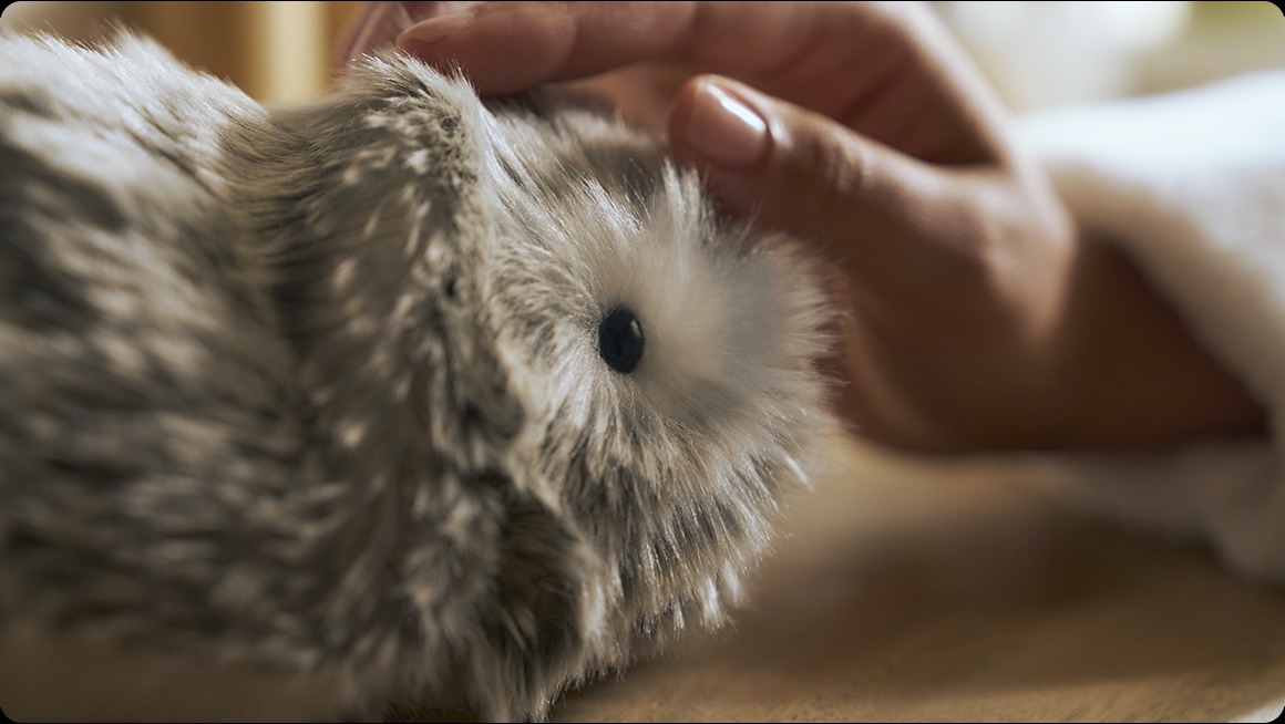 Casio Moflin ra mắt toàn cầu: Robot thú cưng AI biết học hỏi, phản ứng cảm xúc - Ongkinh